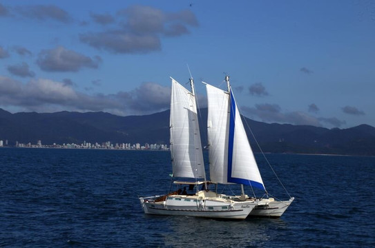 Catamaran Amelia