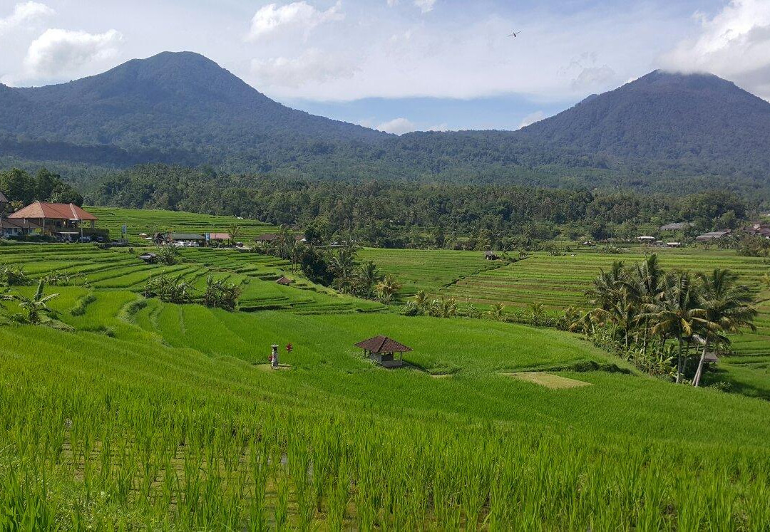 Bali Candidasa Tour景点图片