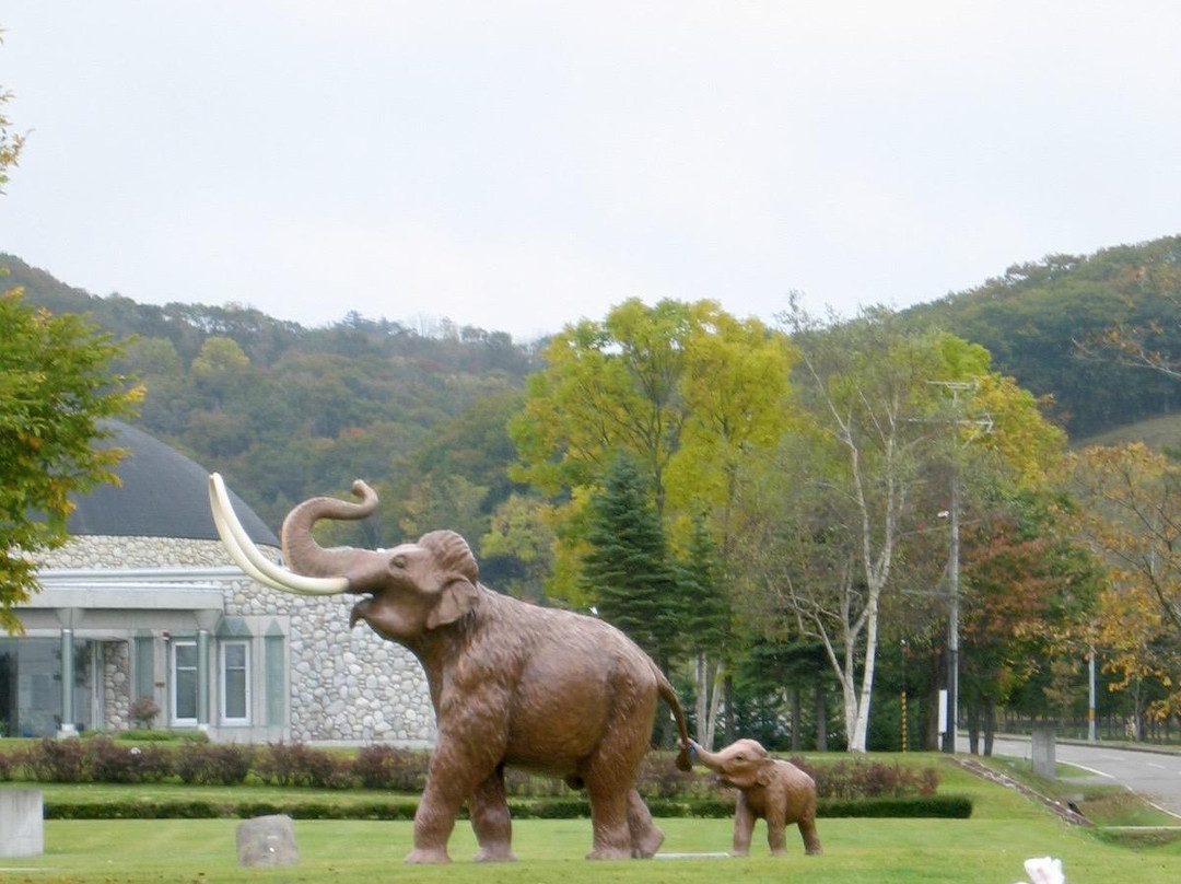 The Churui Museum of Naumann's Elephant景点图片
