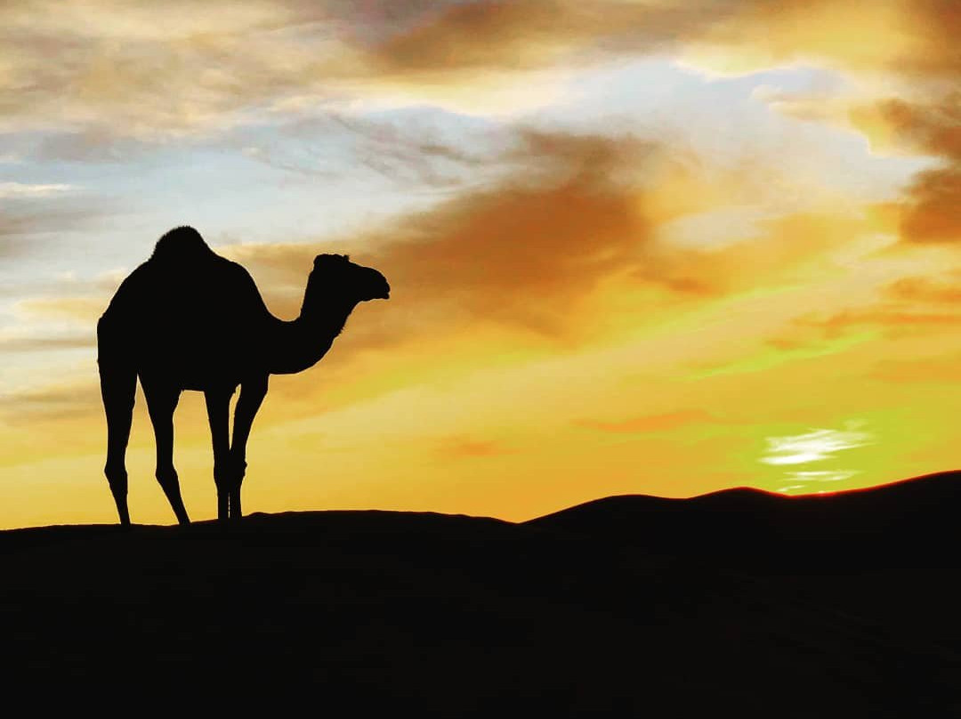 Morocco Shiny Days-非斯必去景点