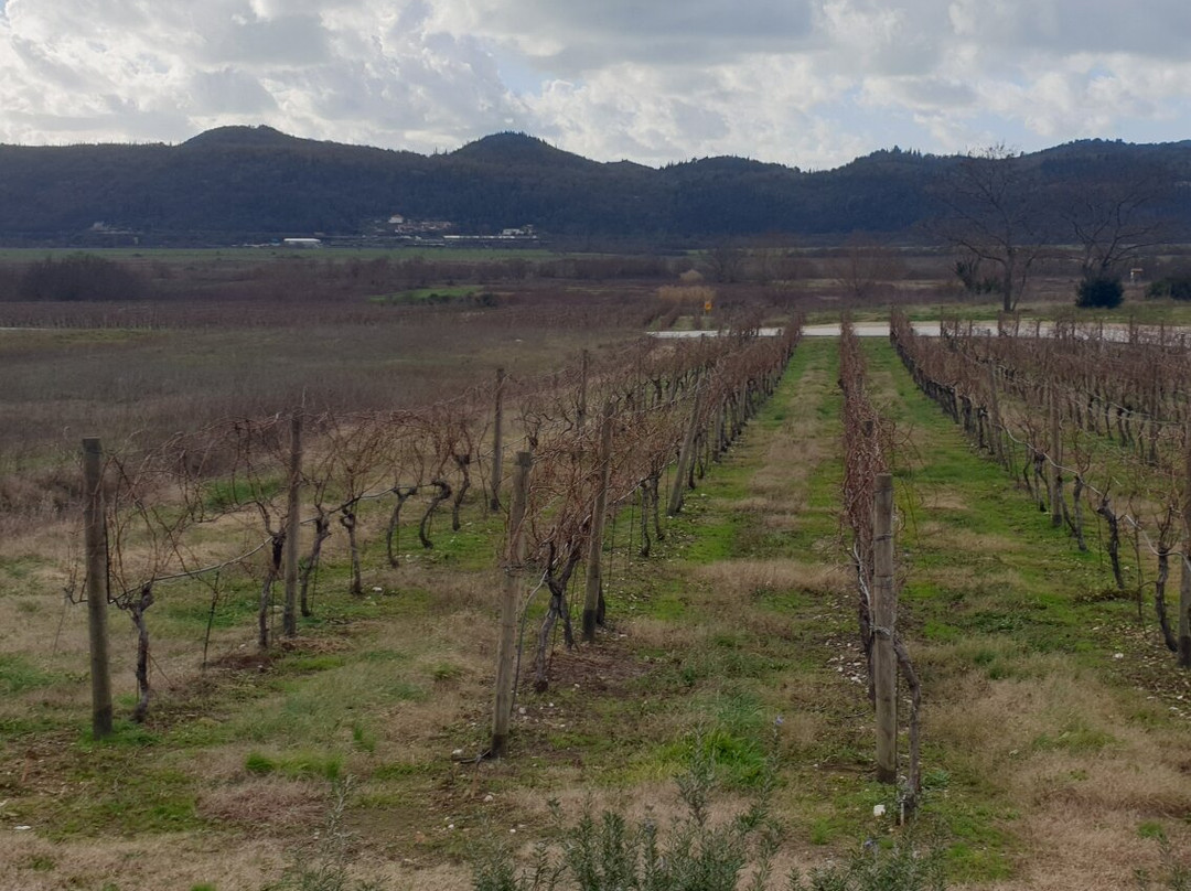 Karaman Winery景点图片