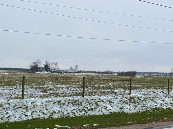 Cook Family Farm-纽瓦克必去景点