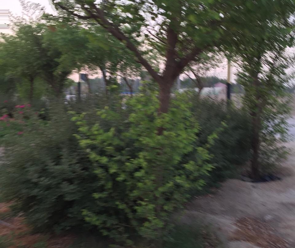 Ahmadi Park