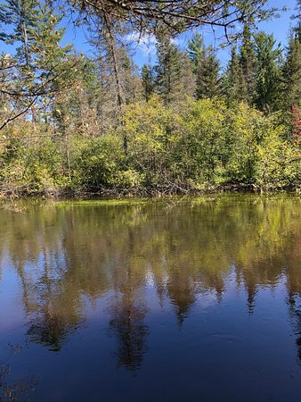 Rohr's Wilderness Tours-Conover必去景点