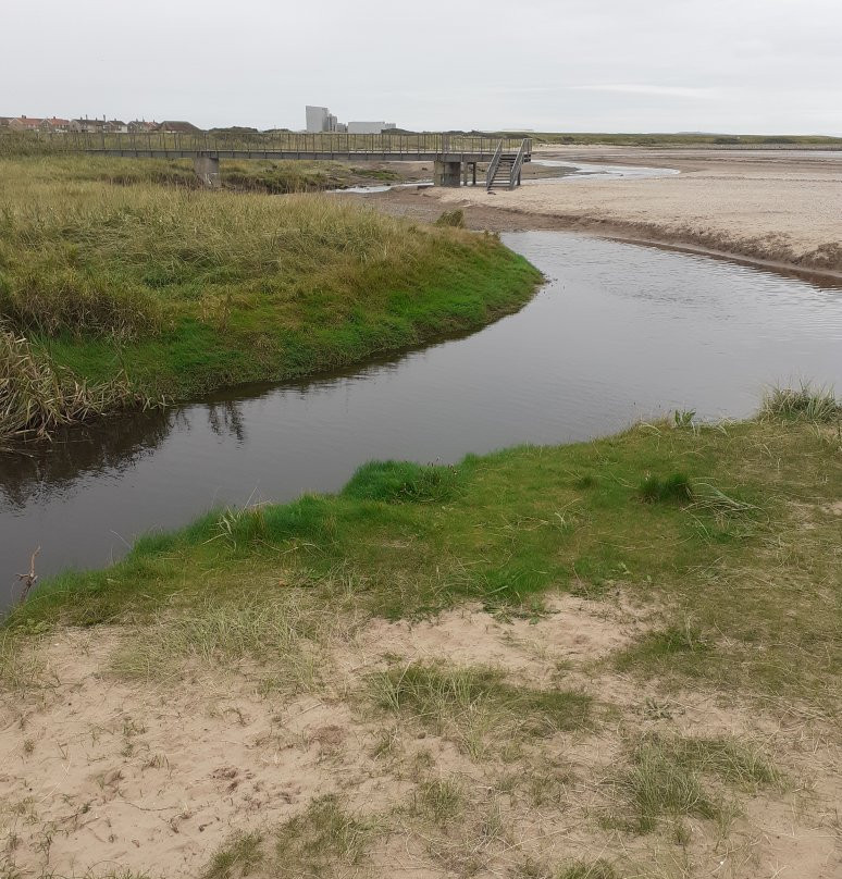 Stevenston Beach景点图片