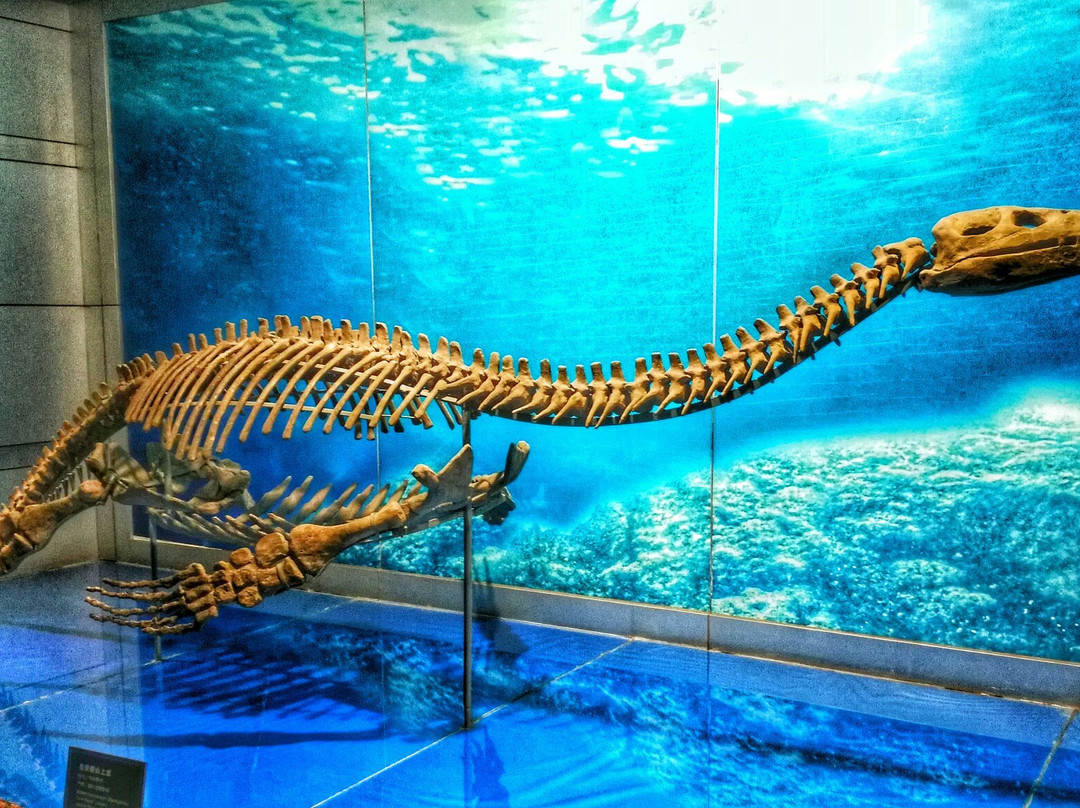 自贡恐龙博物馆景点图片