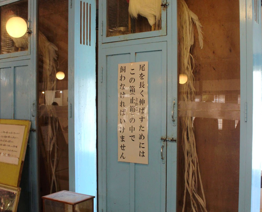 Ryukawahora Museum景点图片