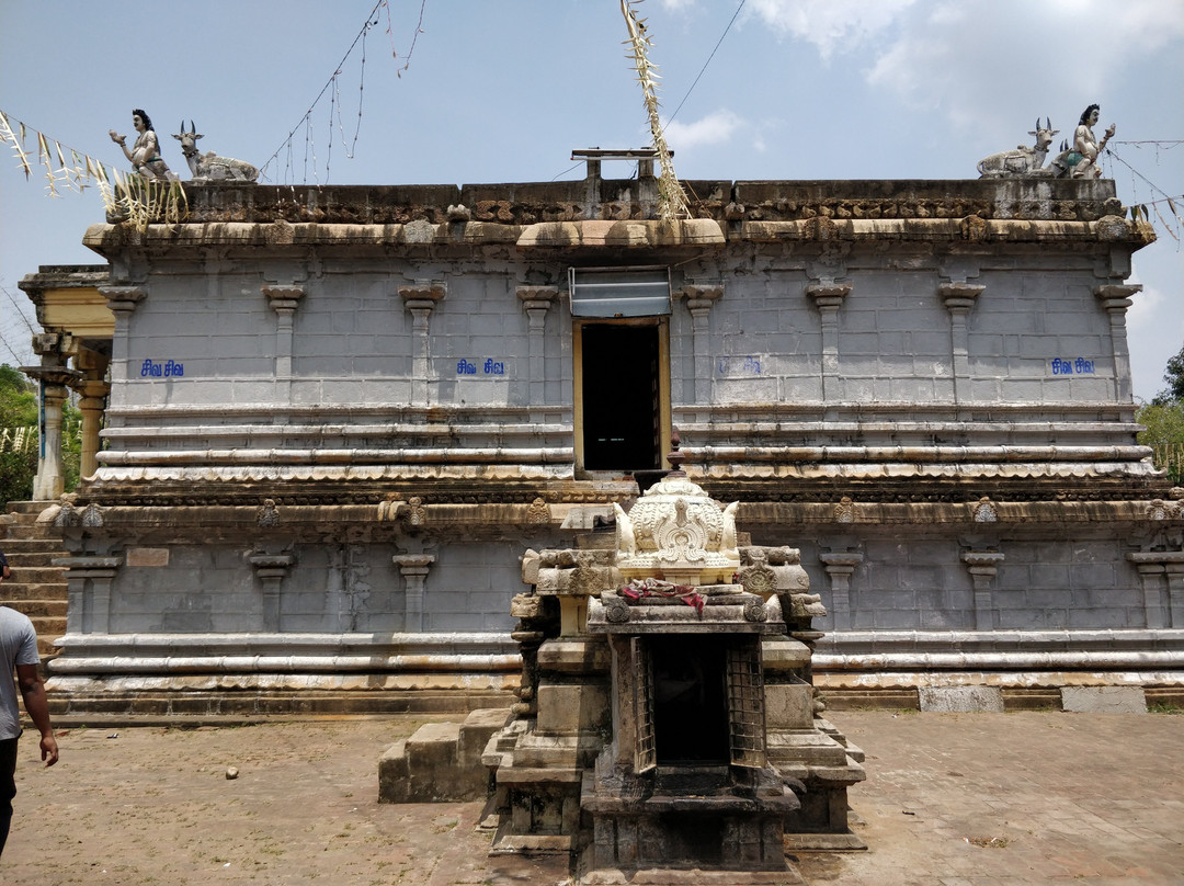 Sri Sangaranyeswarar Temple景点图片