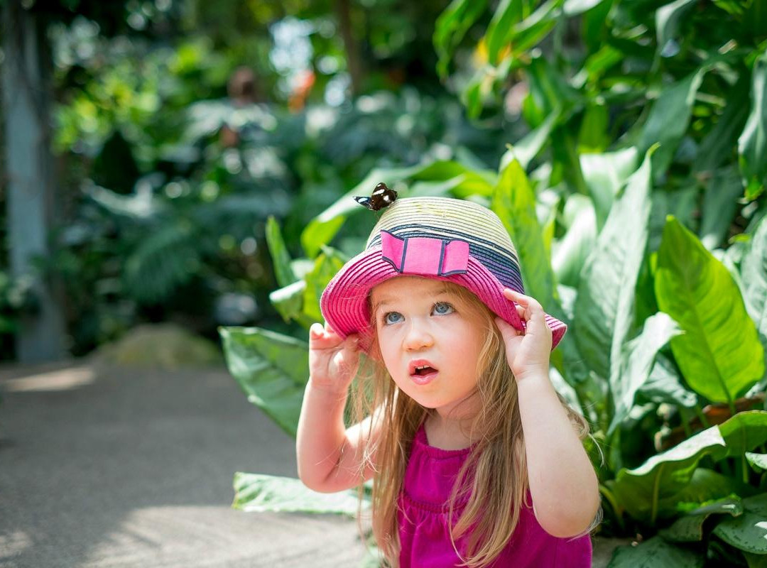 Cambridge Butterfly Conservatory-坎布里奇必去景点