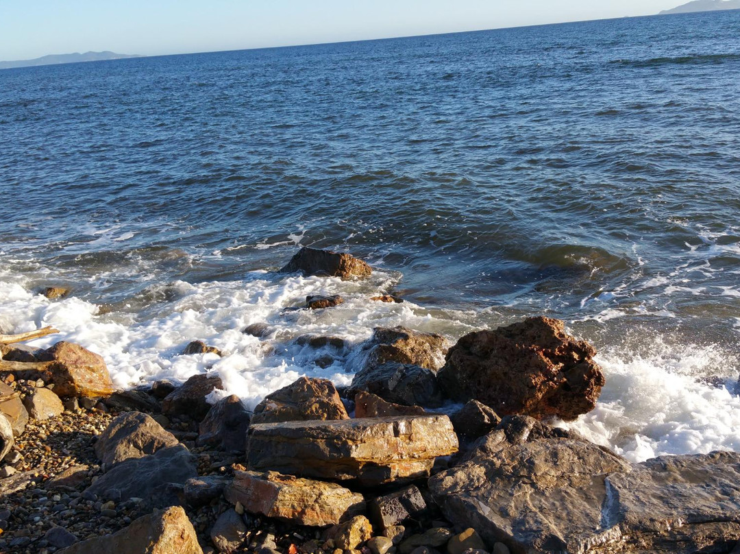 La Londe Les Maures旅游攻略图片