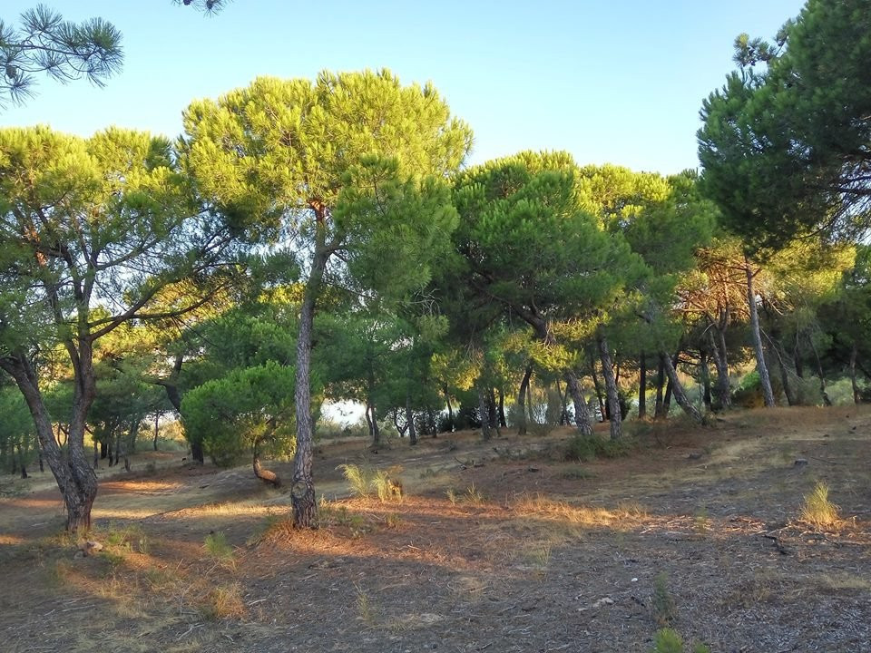 El Portil旅游攻略图片