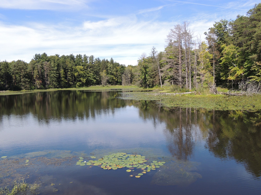 Richfield旅游攻略图片