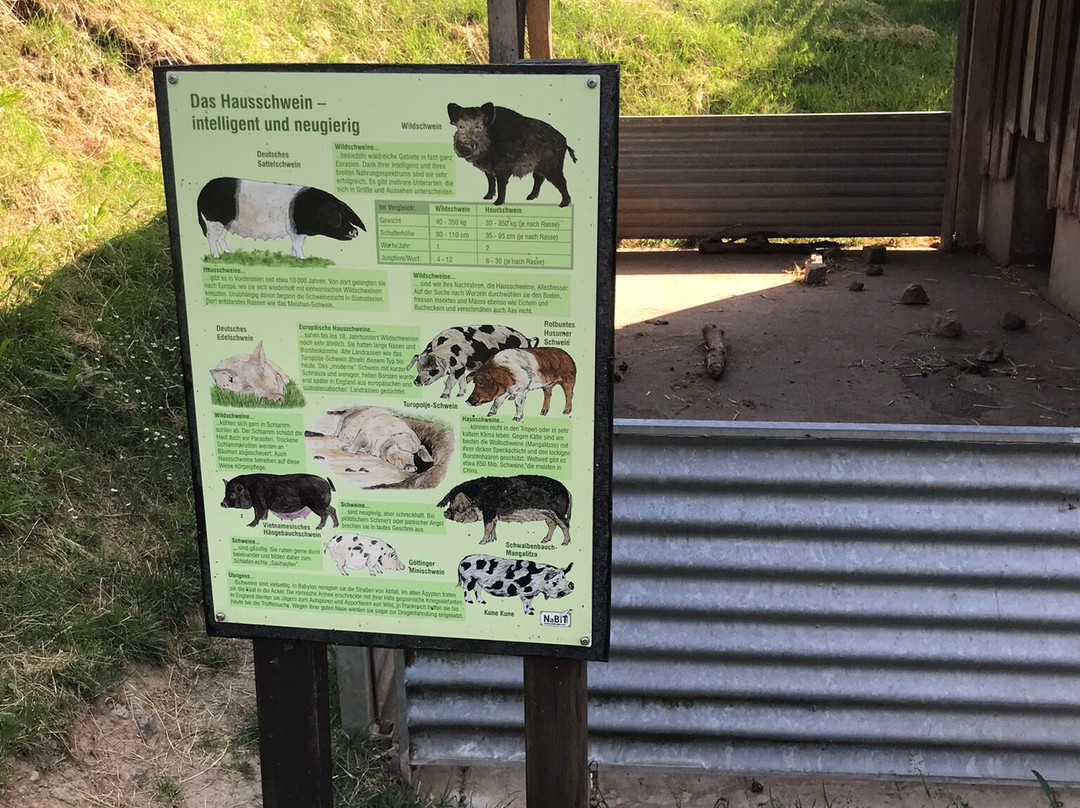 Natur- Und Wildpark Waschleithe
