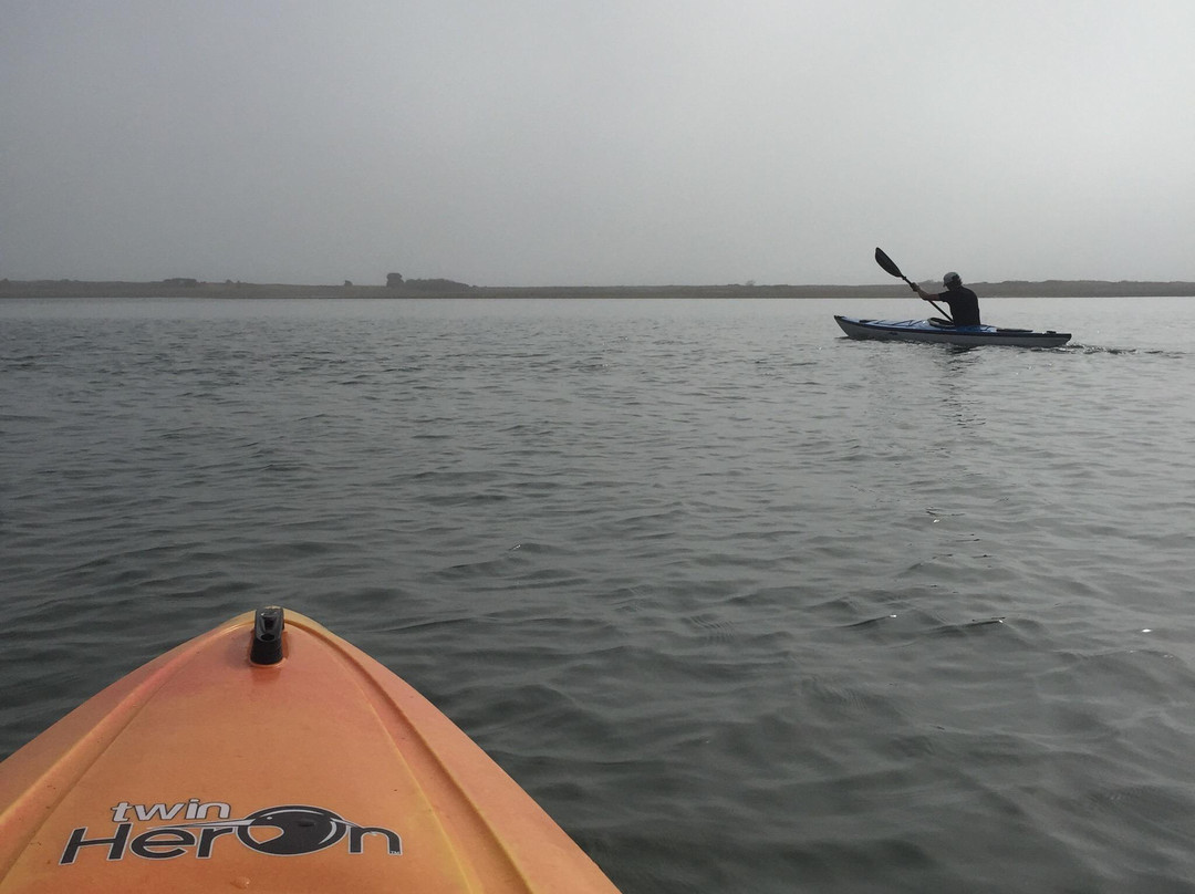 Chatham Kayak Company - Guided Tours-查塔姆必去景点