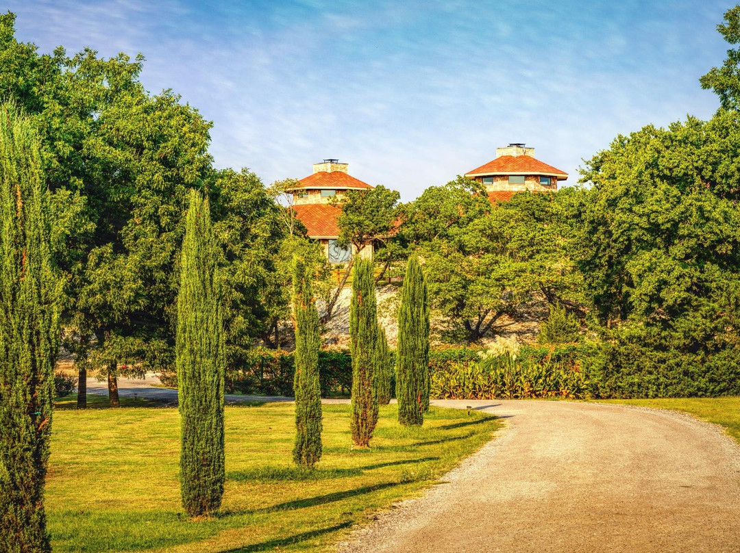 Mitas Hill Vineyard-麦金尼必去景点