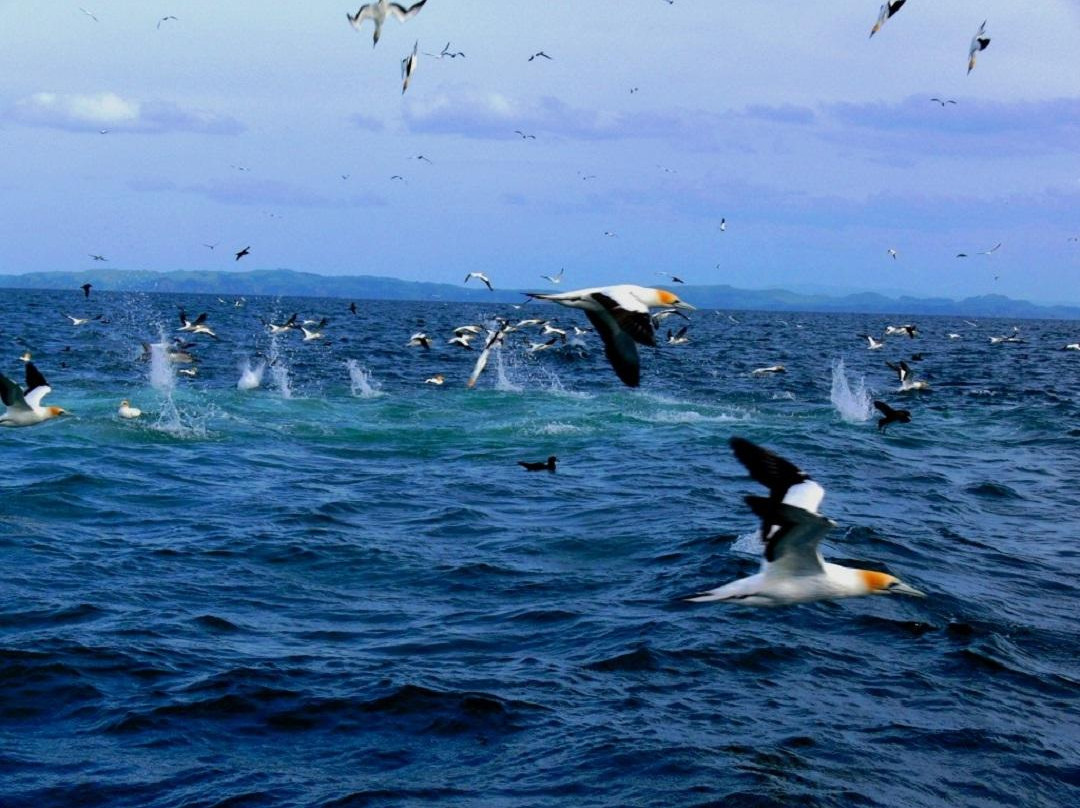 Snap Fishing Ventures