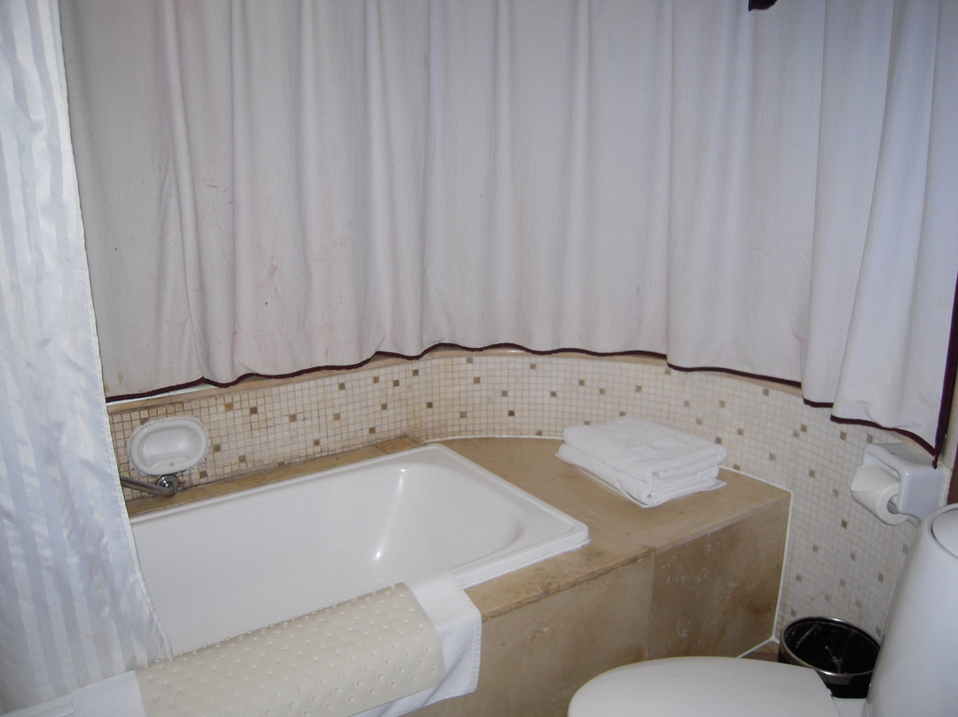 扬子岛酒店主图