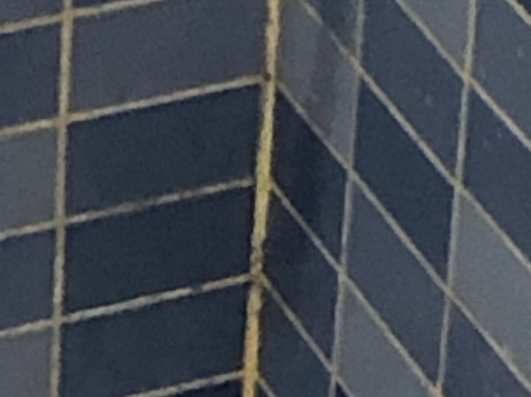 塞维利亚帕梅拉酒店主图