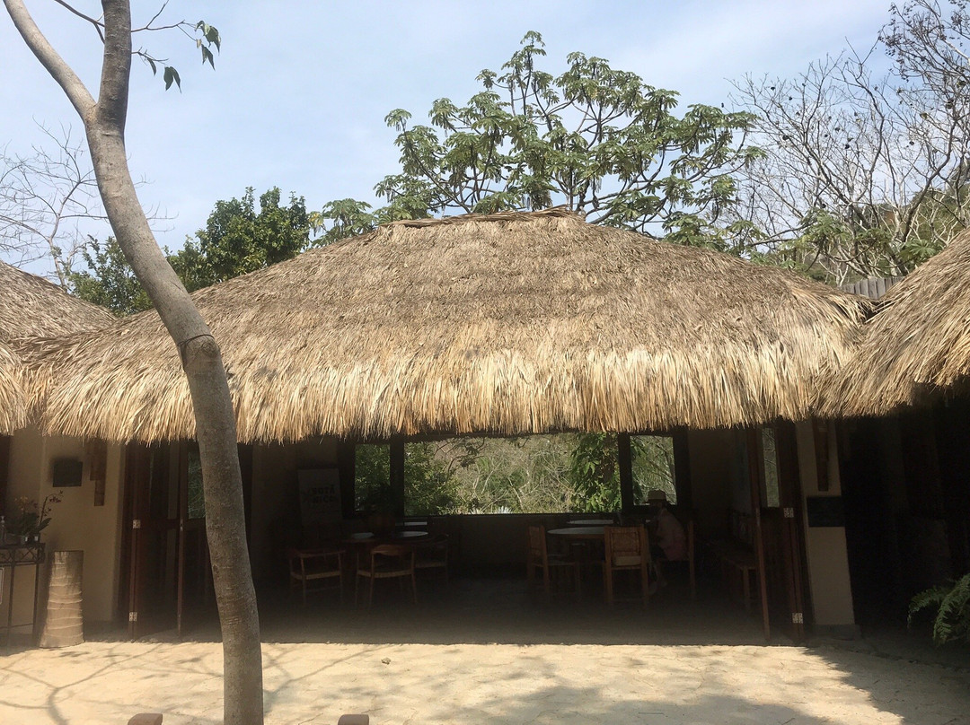 Jardín Botánico de Acapulco景点图片