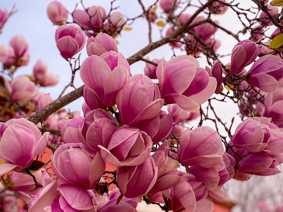 Hotel Rural Las Tejuelas主图