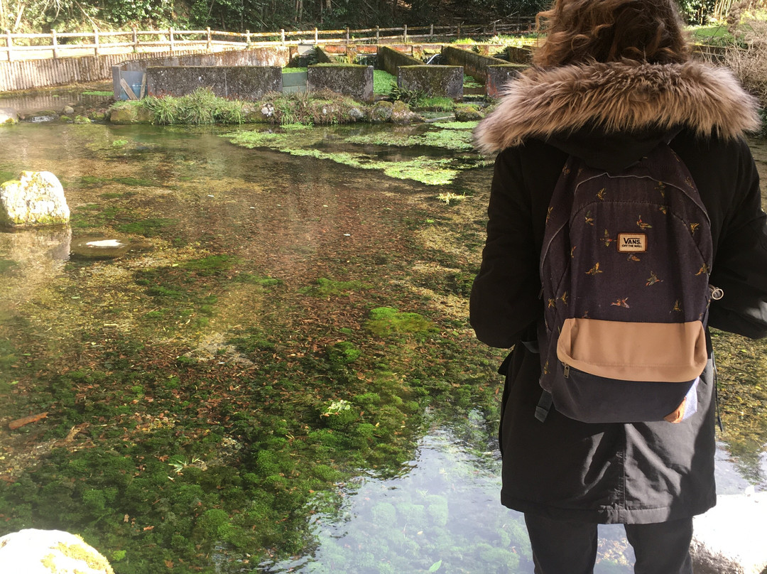 Hongu Izumi Spring-米子市必去景点