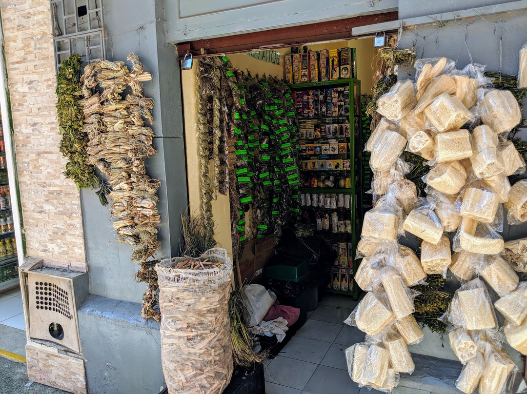 Park Bolivar-麦德林必去景点