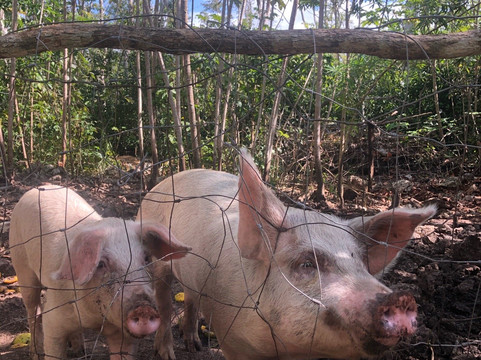 Tulum Bike Tours-图伦必去景点