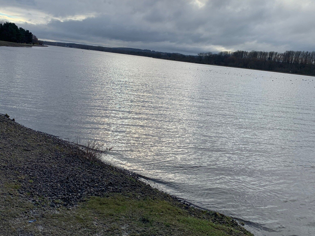 Strathclyde Country Park景点图片