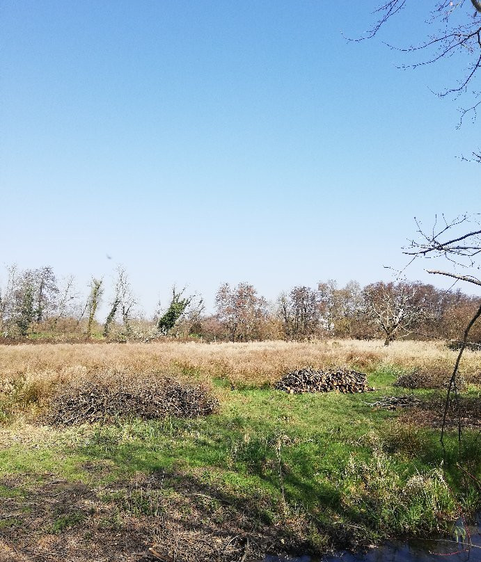 Reserve Naturelle Marais De Bruges景点图片