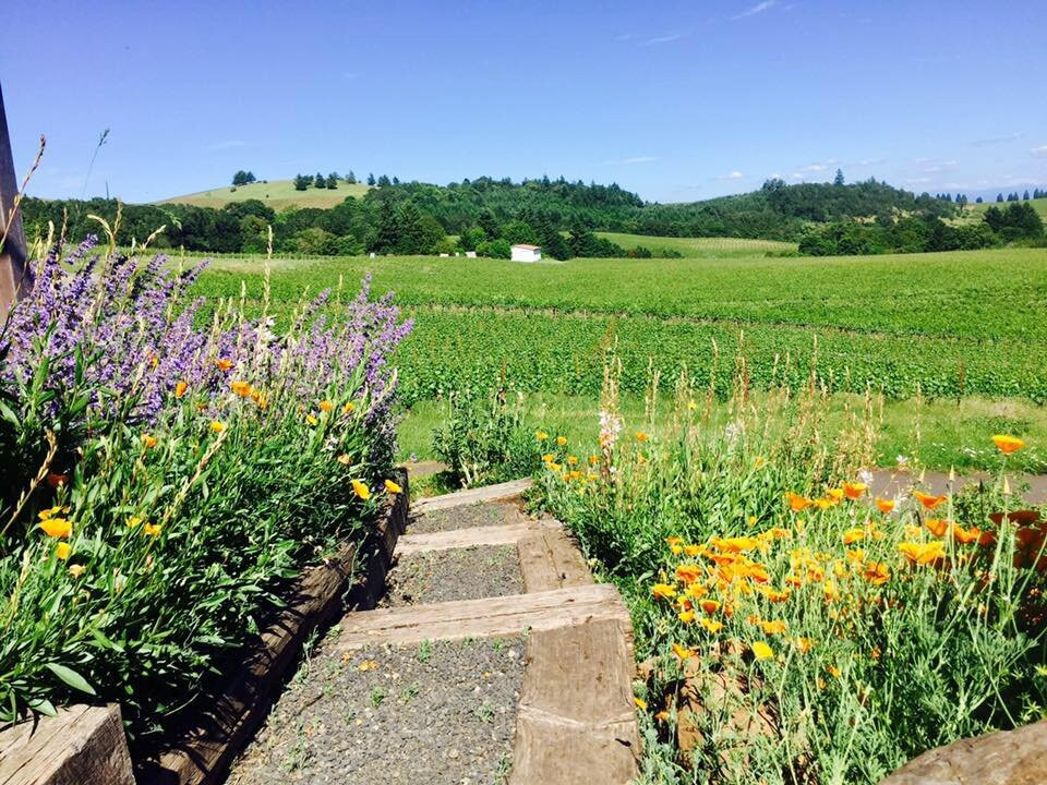 Bethel Heights Vineyard-塞勒姆必去景点