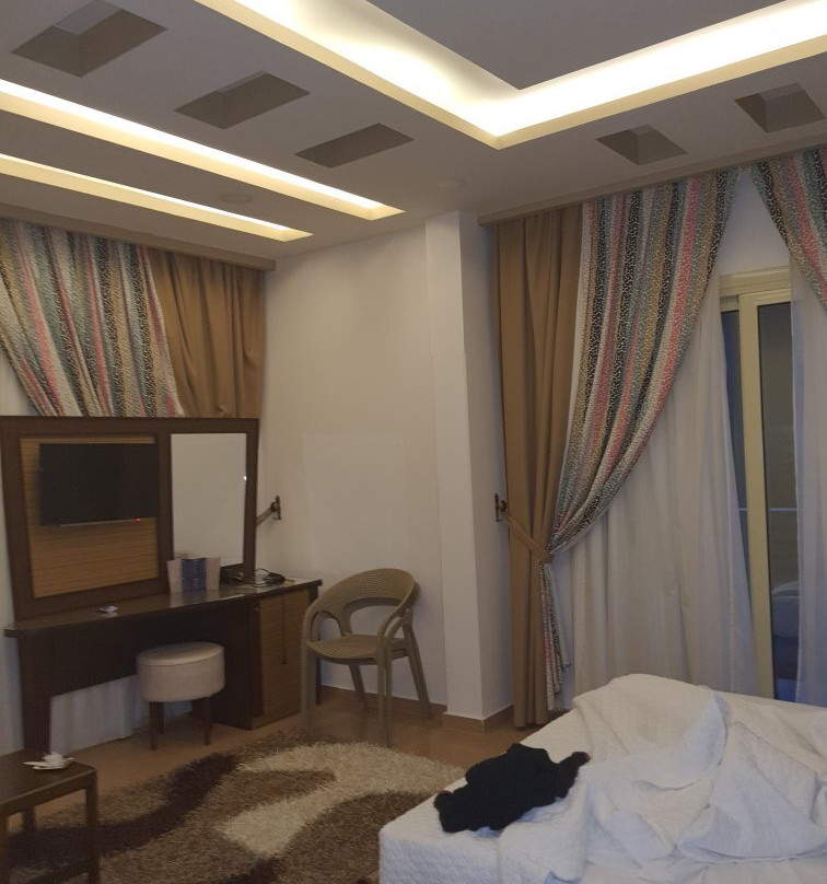 Dolphin Ras EL Bar主图