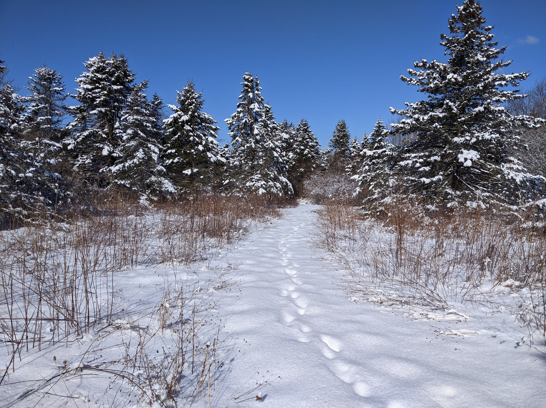 Spruce Acres Farm Trail-米德尔敦必去景点