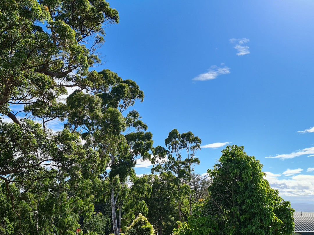 Eastgate on the Range Motel主图