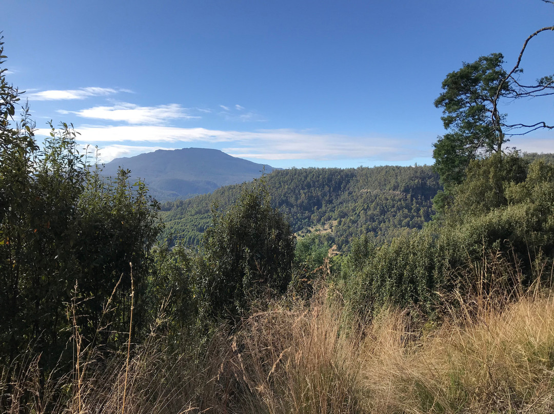 Mersey Valley Drivers Road Lookout-Gowrie Park必去景点