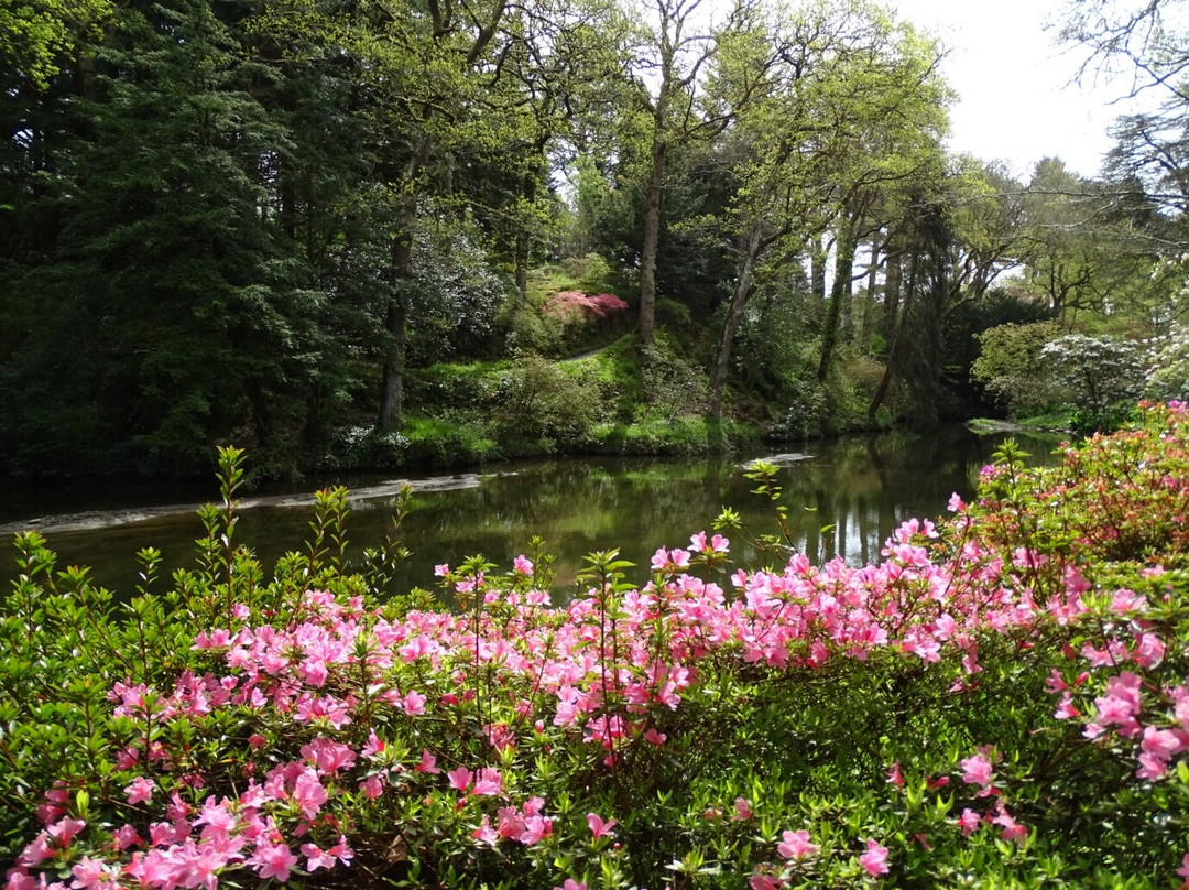 Bodnant Garden景点图片