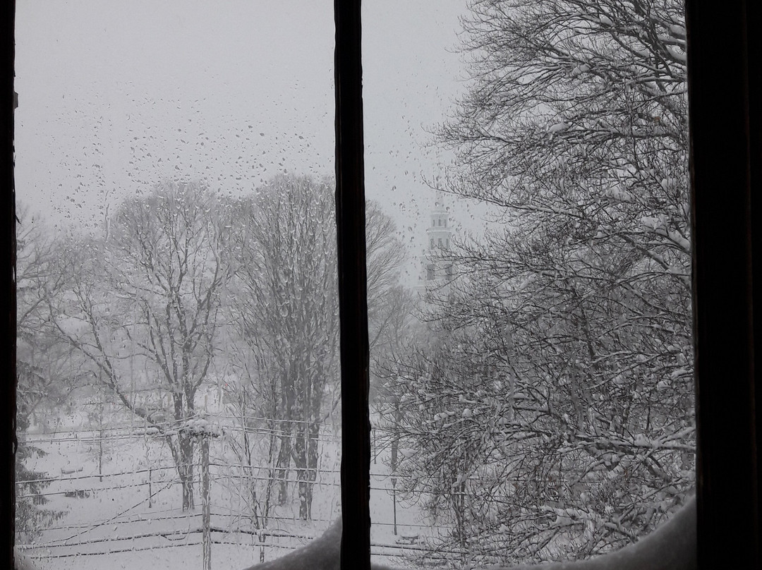 Proctor Mansion Inn主图