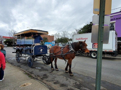 Day Trips To Charleston-美特尔海滩必去景点