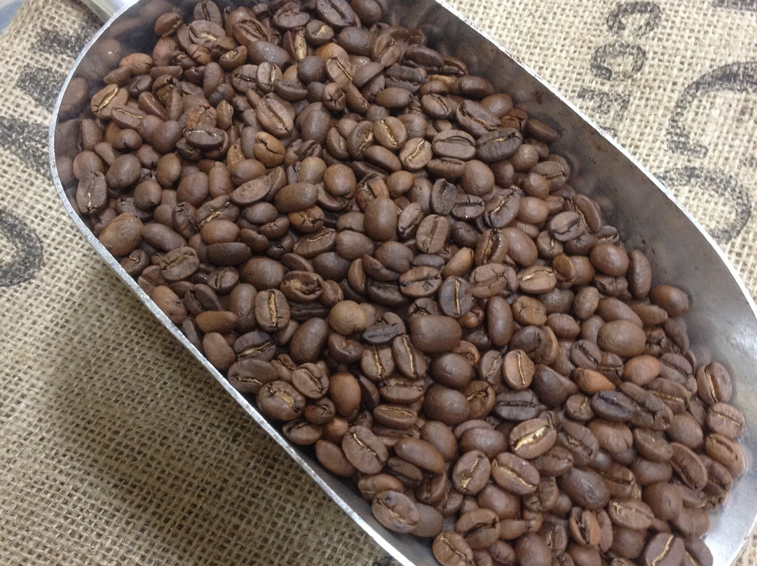 Creative Coffees Roastery景点图片