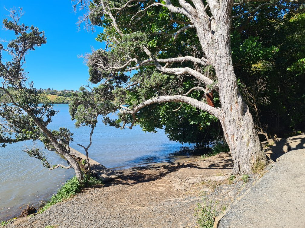 Orakei Basin - not Orakei Korako!景点图片