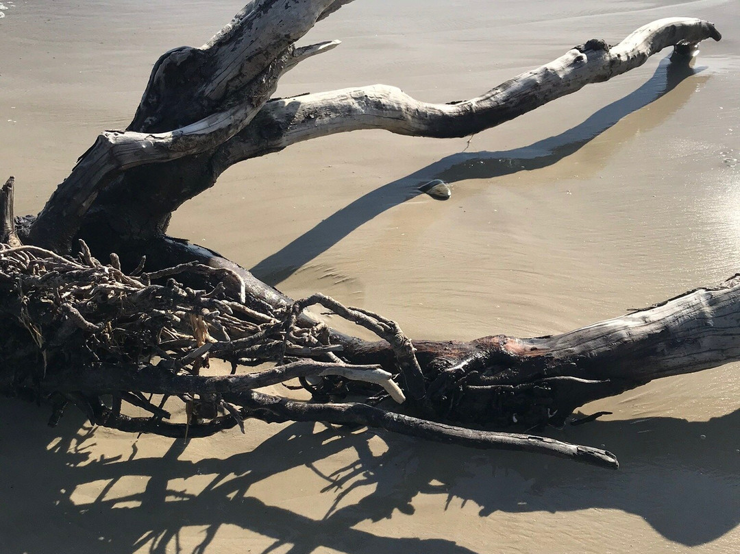 Grandview Nature Preserve-汉普顿必去景点