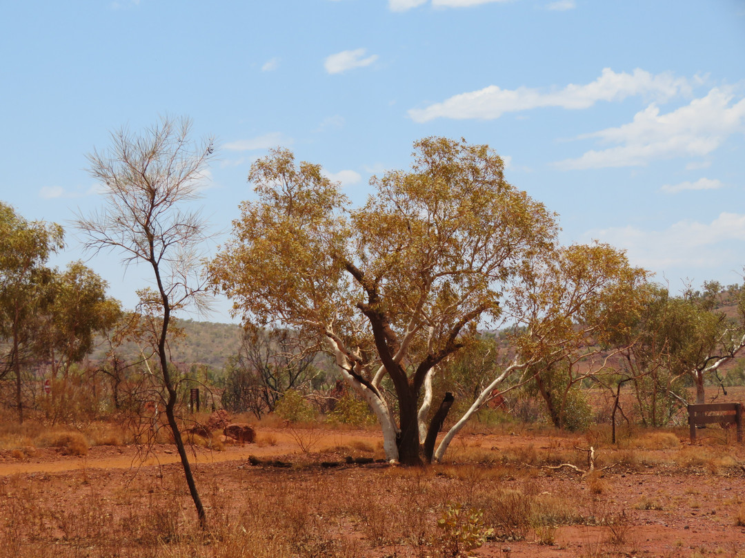 Karijini National Park-Karijini National Park必去景点