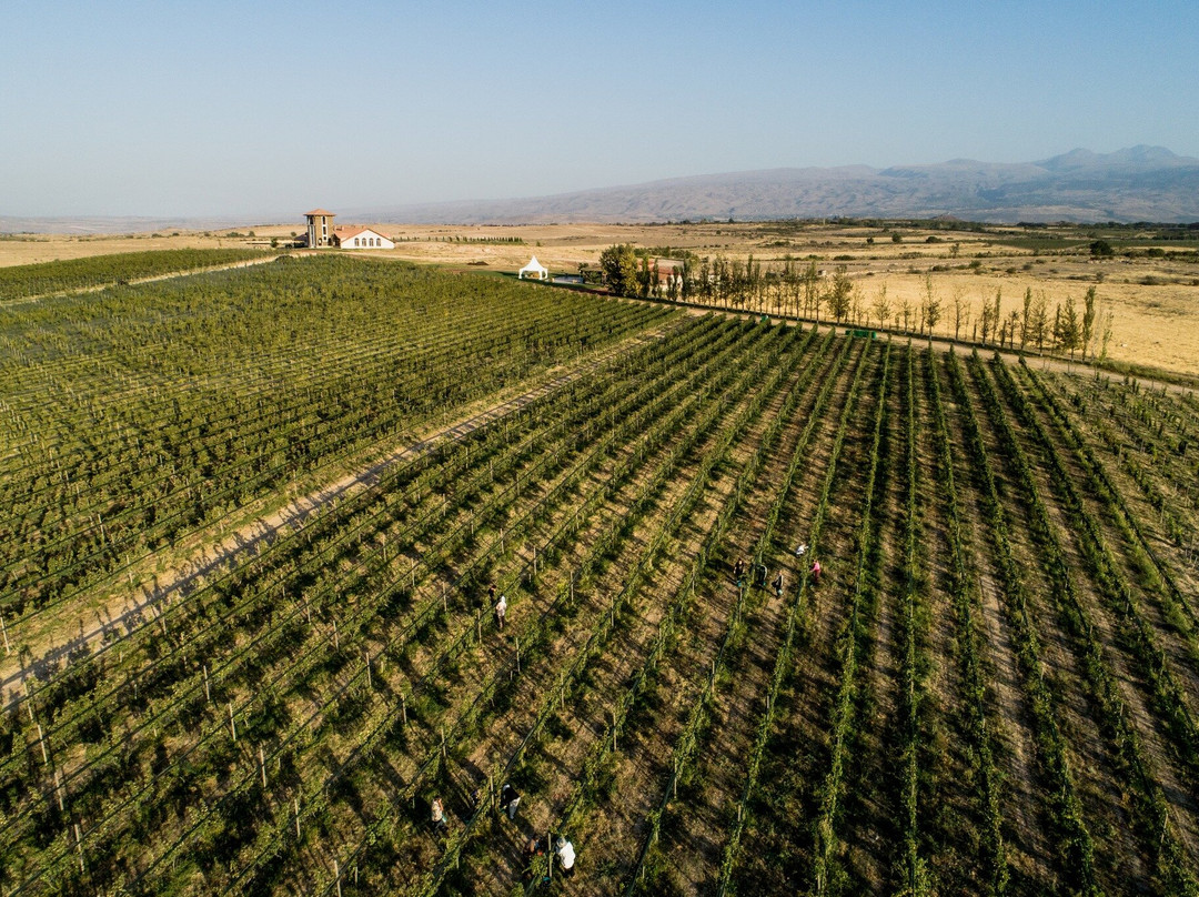 Van Ardi Winery