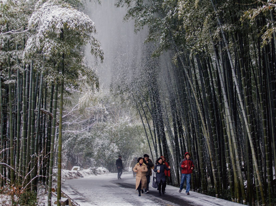 宜兴竹海景点图片