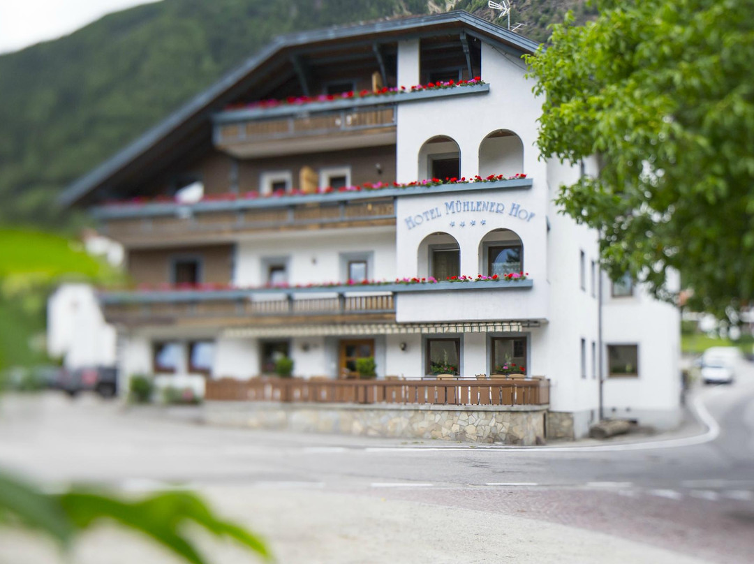 Molini di Tures酒店住宿-Hotel Muehlenerhof