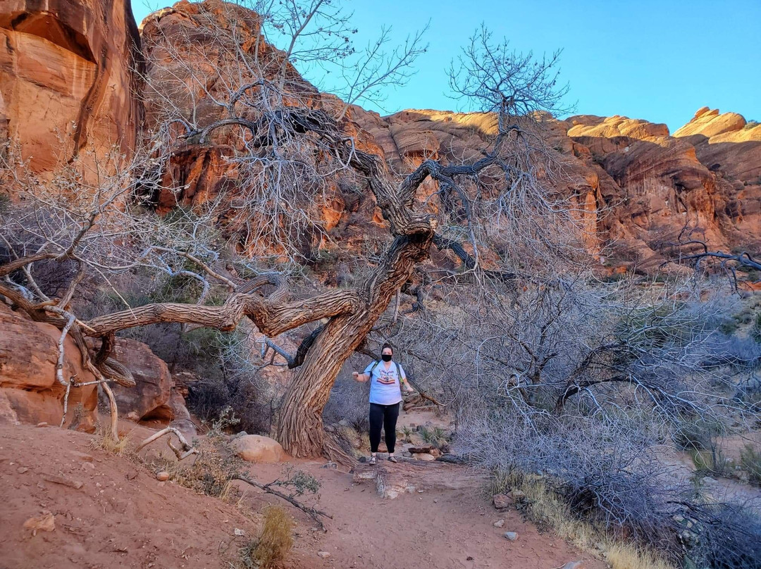 Red Cliffs Recreation Area-Leeds必去景点