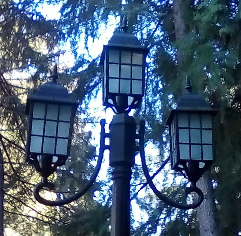 本那比酒店住宿-Burris Street