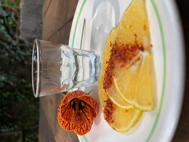 Restaurante Del Bosque