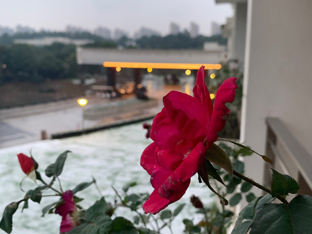 普瑞温泉酒店主图