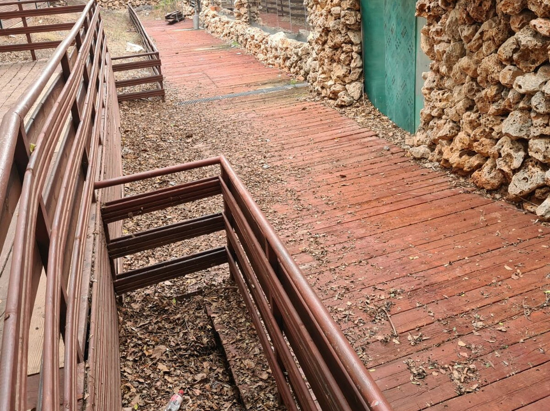 Utopia Orchid Park-Bahan必去景点