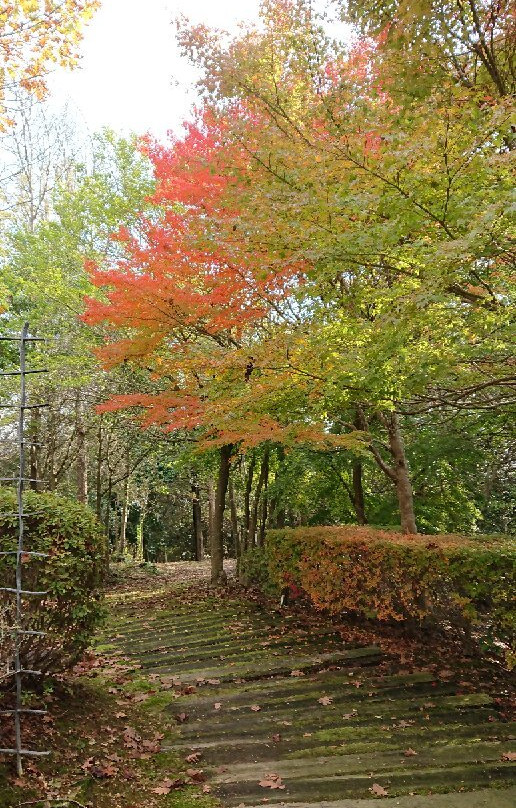 Harima Central Park-加东市必去景点